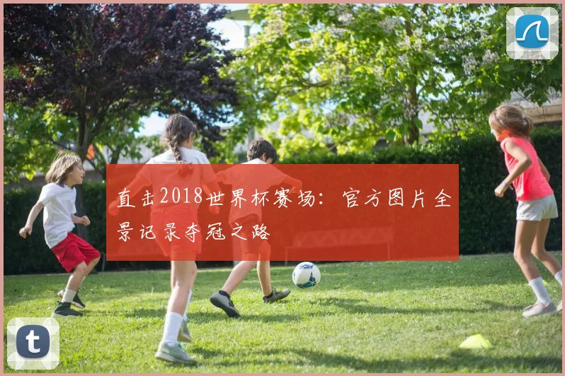 直击2018世界杯赛场：官方图片全景记录夺冠之路