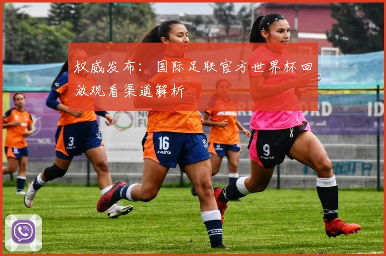 权威发布：国际足联官方世界杯回放观看渠道解析